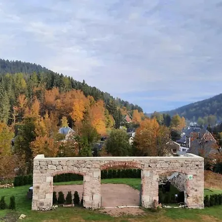 Alte-foersterei-wildenthal-app-3